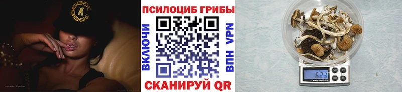 Галлюциногенные грибы MAGIC MUSHROOMS  Коломна 